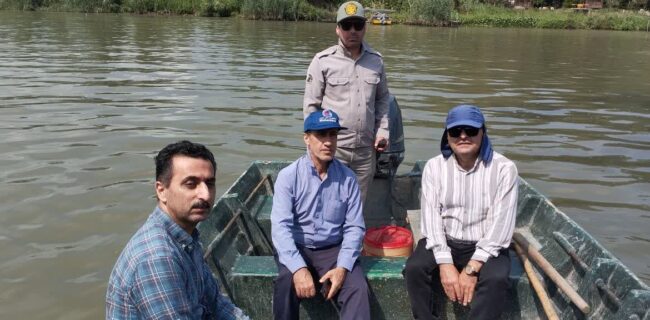 بررسی راهکارهای مبارزه با سنبل آبی و مشکلات معیشتی بررسی راهکارهای مبارزه با سنبل آبی و مشکلات معیشتی