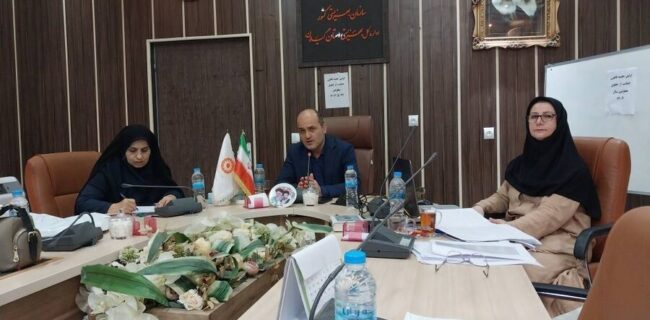 اولین جلسه کارگروه قانون حمایت از حقوق افراد دارای معلولیت برگزار گردید