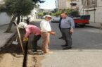 شتاب روز افزون توسعه شبکه فیبرنوری (FTTH) در شهرستان آستارا