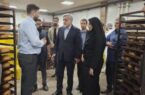 توسعه واحدهای نان صنعتی به تأمین پایدار نان کمک میکند
