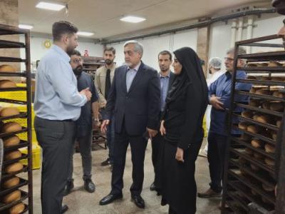 توسعه واحدهای نان صنعتی به تأمین پایدار نان کمک میکند توسعه واحدهای نان صنعتی به تأمین پایدار نان کمک میکند
