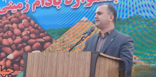 برنج و بادام لشتنشا احیا میشود برنج و بادام لشتنشا احیا میشود