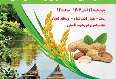 دومین جشنواره بادام زمینی و برنج در لشت‌ نشا برگزار می‌شود