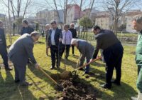 ۱۰ هزار اصله درخت بومی برای نخستین بار در سطح رشت غرس می شود