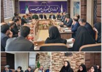 صومعه سرا/حضور رییس بهزیستی در جلسه کارگروه اشتغال این شهرستان