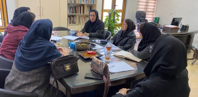 برگزاری جلسه مددکاری با رویکرد مدیریت مورد ویژه شهرستان‌های رشت و لاهیجان